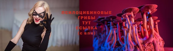 прущая мука Каменка