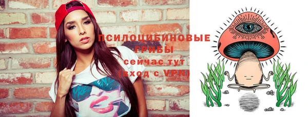 прущая мука Каменка