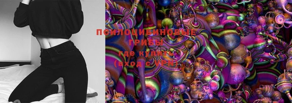 прущая мука Каменка
