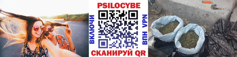Псилоцибиновые грибы мицелий  Купить закладки  Гремячинск 